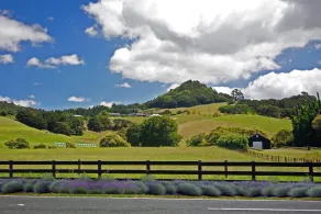 Sugarloaf Lodge - Image 5