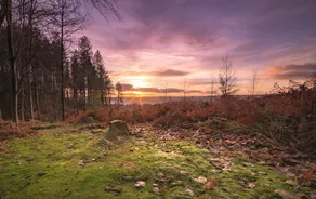 Karah Retreats - St Briavels - Image 5