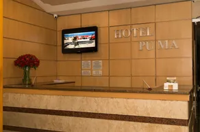 Hotel Puma - Image 3