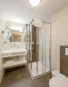 DORMERO MaHo Steyr - Image 3