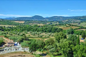 Saturnia 9 - Image 3