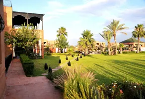 Riad Mhidou - Image 2