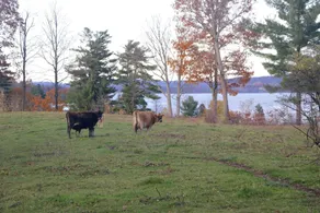The Inn on Lake Champlain - Image 2