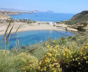 House with 6 bedrooms in Arboleas with wonderful mountain view and enclosed garden 48 km from the be - Image 4