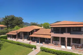 Semeli Studios - Image 5