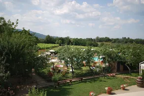 Lory 1 - Image 5