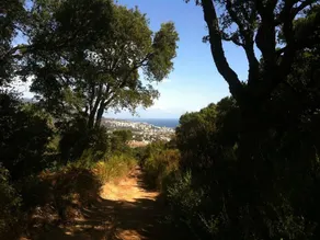 Apartment With one Bedroom in Furiani, With Furnished Garden and Wifi - Image 3
