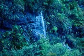 The Conerstayz - Image 3