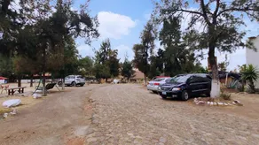 OYO Hotel Los Pinos - Image 3