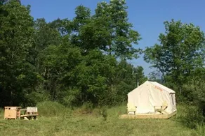 Tentrr Home Sweet Campsite Two - Image 4