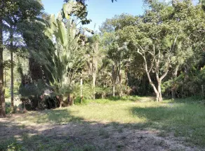 Farmstay At Pha Ma Chiangrai - Image 3