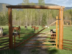 Wells Gray Guest Ranch - Image 2