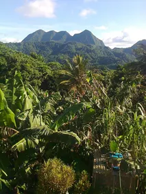 Tony & Aldona's Retreat - Image 3