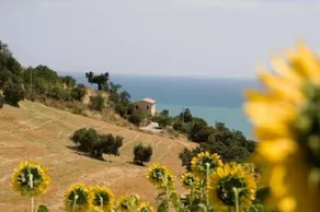 Agriturismo La Quarta - Image 4
