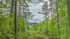 Retreatwood Mac by Escape to Blue Ridge - Image 3