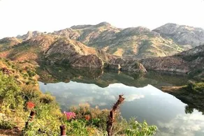 Aravali Silence Lakend Resorts & Adventures - Image 3