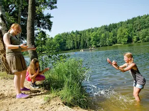 Beautiful Holiday Home in Litschau With Swimming Pool - Image 3