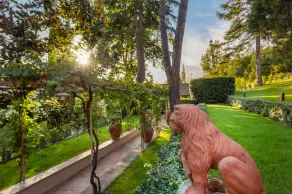 Cipressi Alle Vigne - Image 3