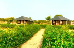 Thour Nature Resorts - Image 5
