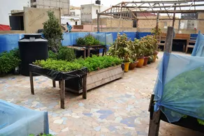 Via Via - Image 4