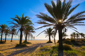 Apartment With 3 Bedrooms in Gandia, With Furnished Balcony and Wifi - 1 km From the Beach - Image 5