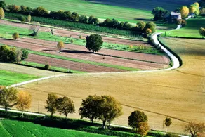 BB Al Castello - Image 5