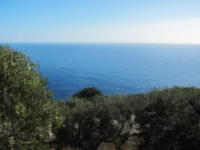 Foresta Forte - Ciolo - Image 4