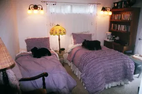 Dreydon House Bed and Breakfast - Image 5