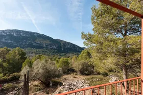 Pinos - Image 5