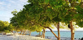 Ilaa Beach Maldives - Image 3