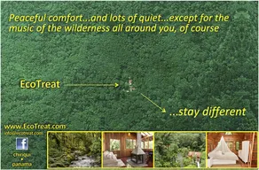 Eco Treat - Image 3