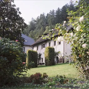 Penzl 9 - Image 5