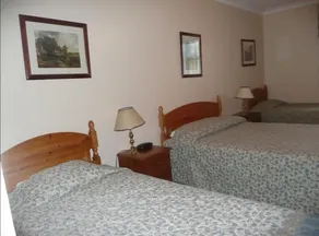 The Cottage Guest House - Image 2