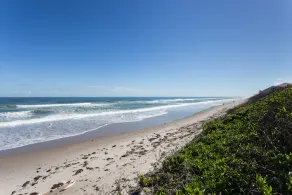 Coastal Tides - Image 5