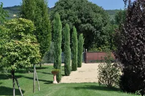 Agriturismo Corte Moranda - Image 2
