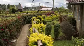 Oloolua Resort & Campground - Image 5