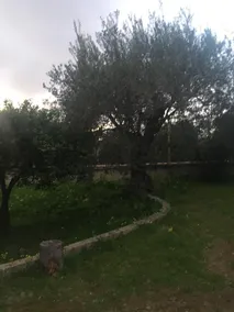 Villa Bosco - Image 5