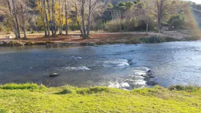 Los Cinglos - Image 3