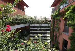 San Martino Treviglio - Image 4