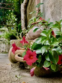 Casa Gentile - Image 2