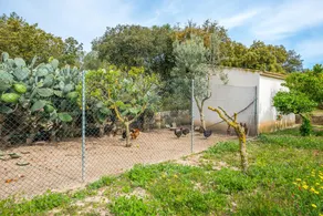 Villa Can Calafat - Image 3