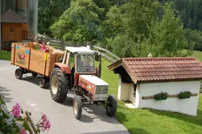Ferien Bauernhof Maurachhof - Image 2