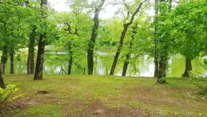 Apartment in Monflanquin by the Lake - Image 5