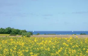 Stunning Apartment in Insel Poel OT Kirchdor With 2 Bedrooms and Wifi - Image 4