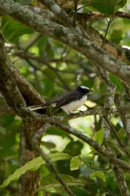 Kandyan Glory Holiday Home - Image 3