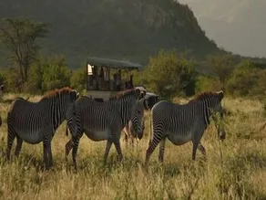Saruni Samburu - Image 3