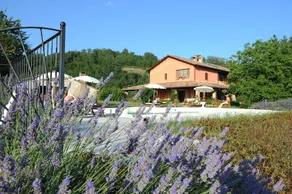 La Rosa Tea - Image 2