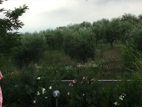 B&B Villa Roncatti - Image 3