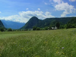 Balmy Apartment in Bohinjsko Jezero Near Lake - Image 2