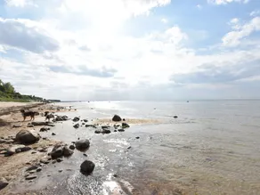 Spacious Apartment in Rakow Near the Sea - Image 3